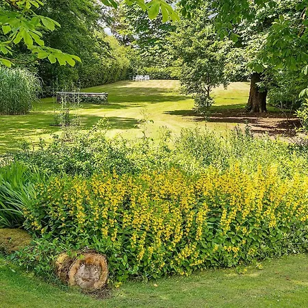 4 Star In 度假居 *